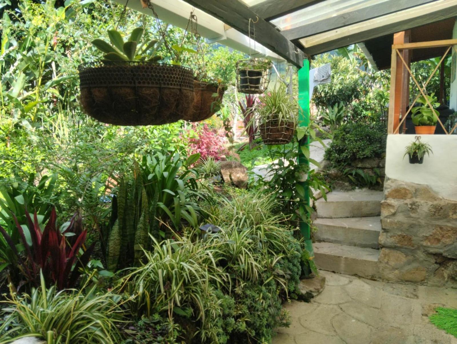 Luzart Hotel Jardin Bagian luar foto